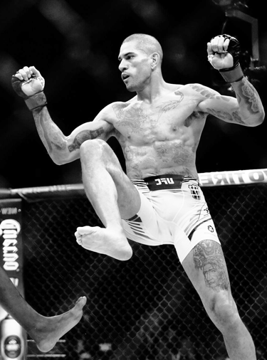 zawodnik mma