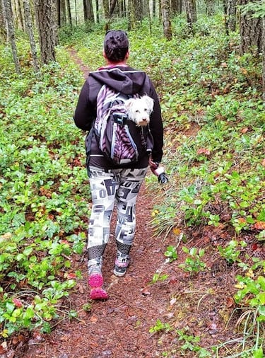 Waterfall Hwy, OR - My daughter walking in front with my dog in a backpack on the Wolf Creek Falls t
