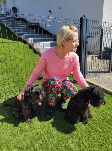 Eleveuse et Schnauzers miniatures