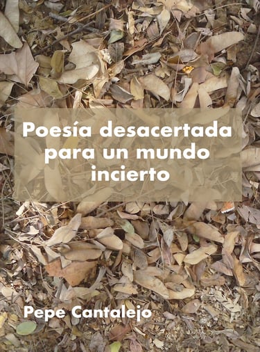 Poesía desacertada para un mundo incierto