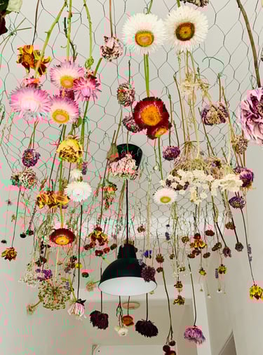 Dried flowers hanging around an LED light fitting