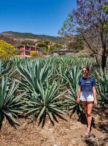 Servicio de taxi a minas