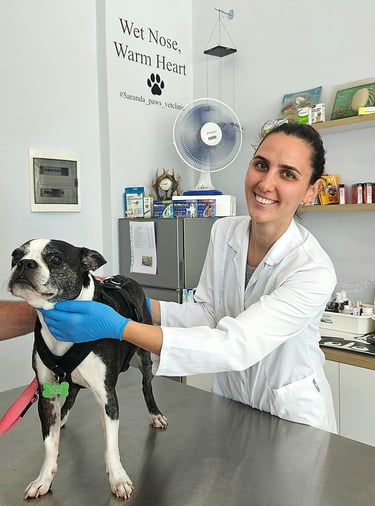 Vet Tizana examining Yoki.