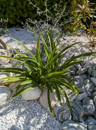 paysagiste marsillargues