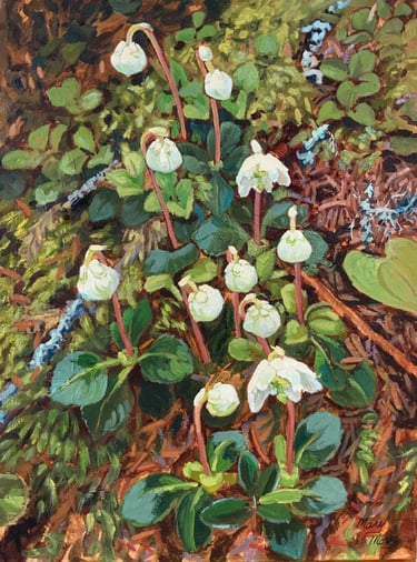 Salamander Lanterns  - Painting by Mary Morey