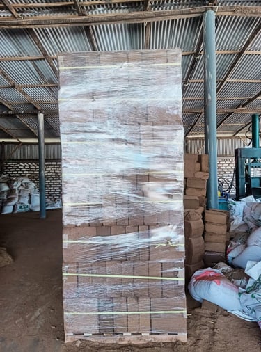 Export-ready cocopeat blocks wrapped and prepared for container loading