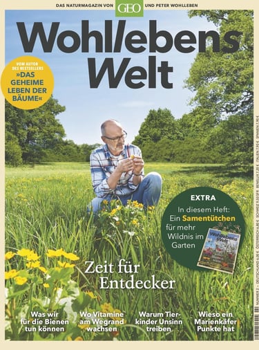 Wohllebens Welt 2/2019 Cover