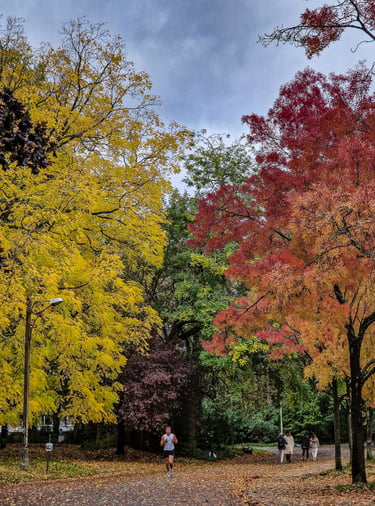 Citadelpark Gent
