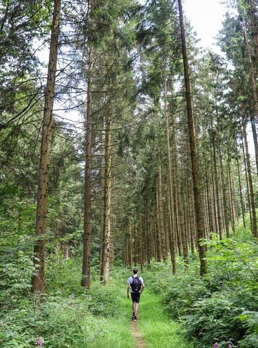 Escarpardenne Lee wandelroute