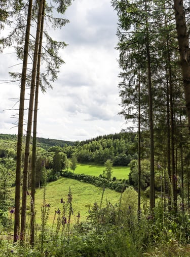 Escarpardenne Eisleck wandelroute