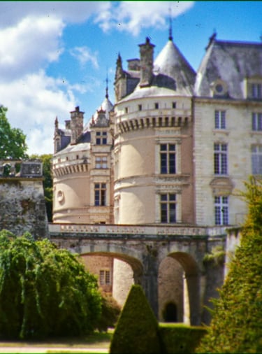Château dans la Sarthe | rollbak | Photographe mariage Hauts de France