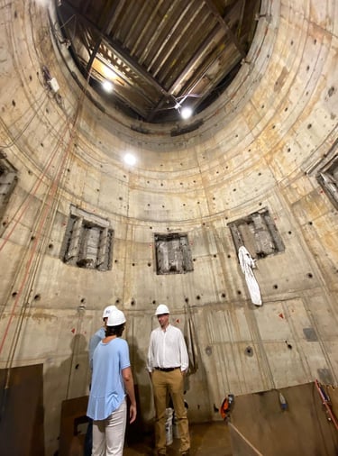 Reactor Modular Argentino CAREM