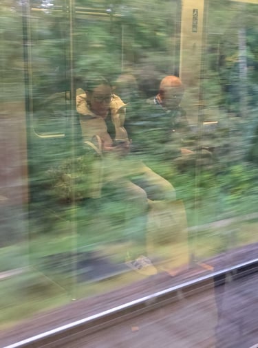Two people sit on a train; window reflections of blurred greenery obscure parts of their faces. She checks her phone.