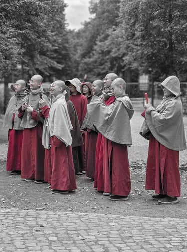a group of monks in red robes standing in a line