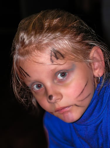 a young girl with a face paint on her face
