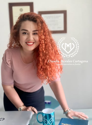 abogados de familia en Pereira