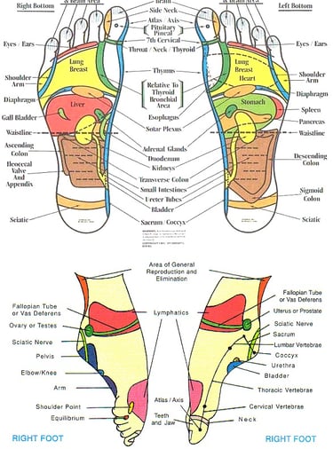 left & right foot reflexology chart
