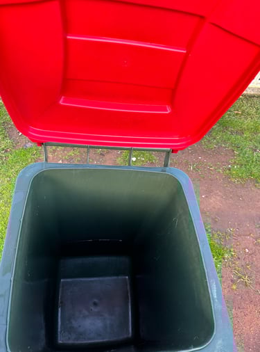 Bin After