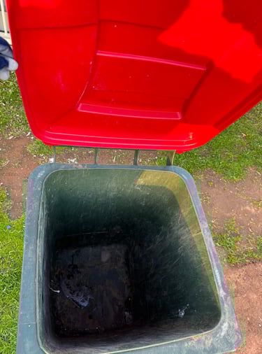 Bin Before