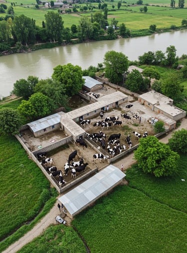 Khyber Dairy Farm