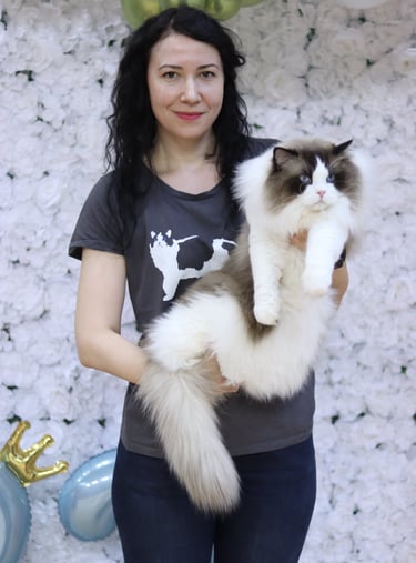 world champion ragdoll held by Anca Neculoiu