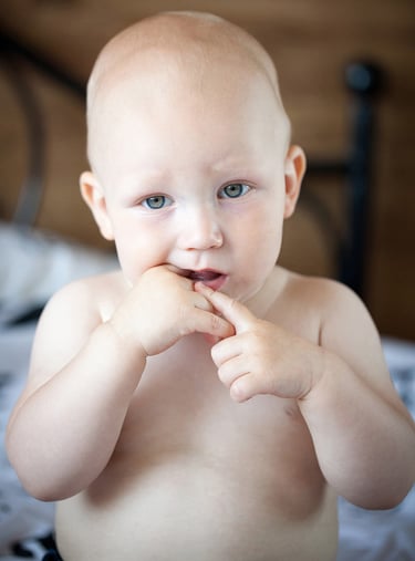 Krikštynų fotografija, fotografija, šeimos fotosesija, 