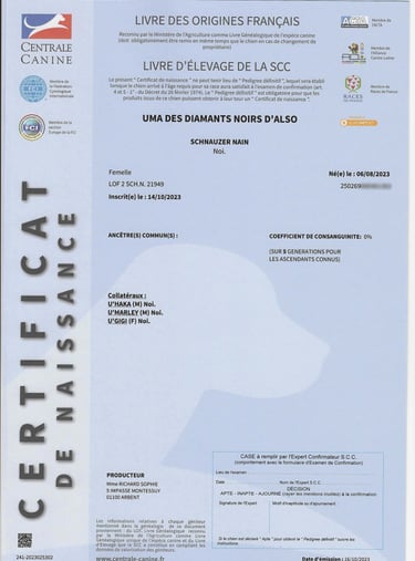 Certificat naissance LOF Uma