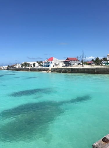 View from the Cockburn Pier