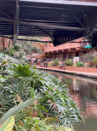 Riverwalk San Antonio