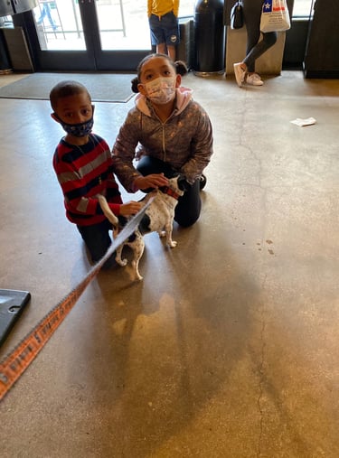 Dog gone good day in San Antonio Texas