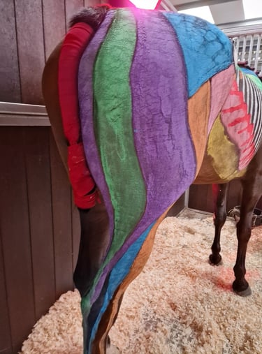 Painted horse hind quarters
