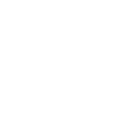 Salam logo