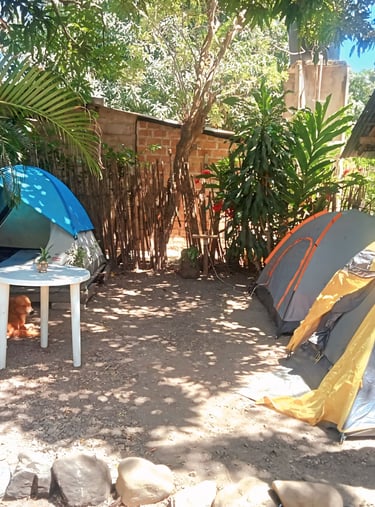 Grupo de tiendas en la zona de camping.