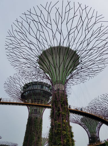 Gardens By The Bay is a huge attraction in Singapore