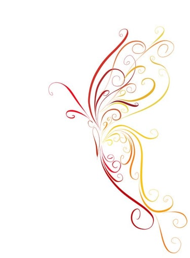 Illustration of butterfly by Olivia Haughton