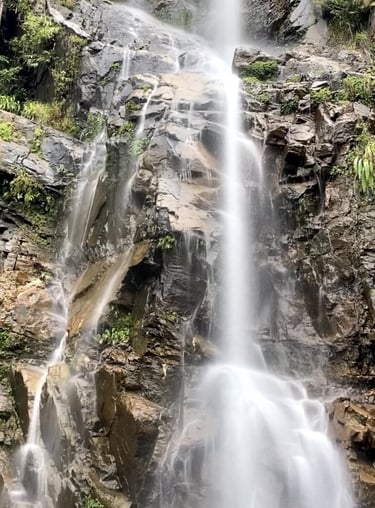 a waterfall in the middle of a forest