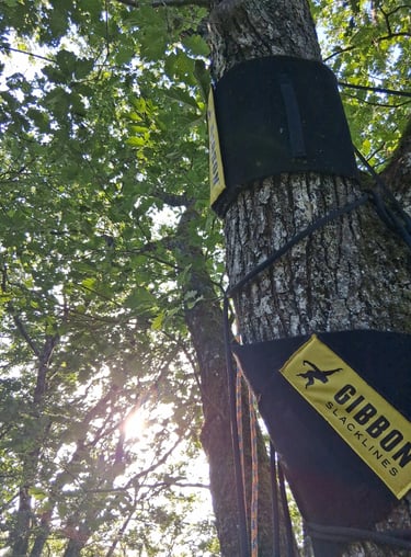 Désinstallation au soleil dans chêne