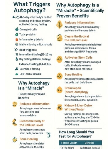 Autophagy is one of fasting’s greatest miracles📝