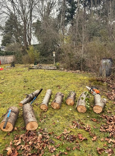 A tree removed and processed on the ground in Bothell WA
