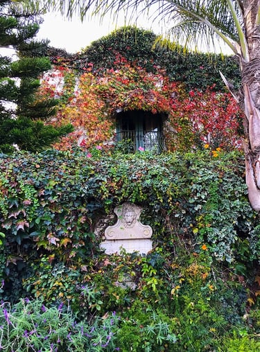 Two story Santa Barbara home covered in vines.