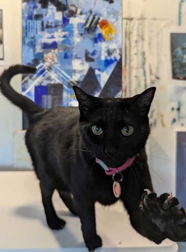 Kenzi, a black cat wearing a pink collar and tag, with front paw extended, in the artist's studio