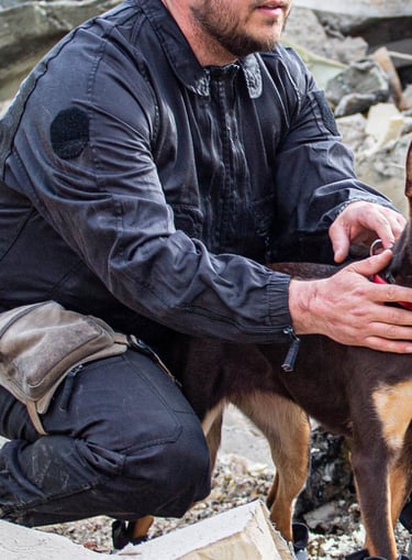 Un homme et son Kelpie australien dans des décombres