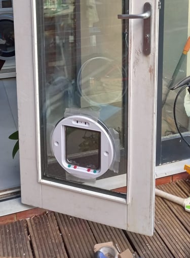 cat flap installed in door