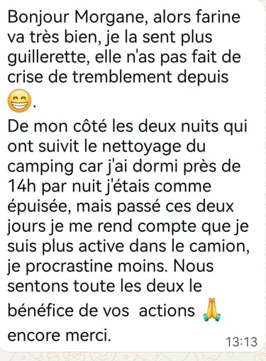 French text testimonial on a white background expressing gratitude for a camper van cleaning service.