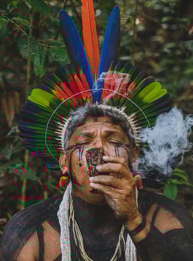a man with a feathered headdress and a feathered headdress