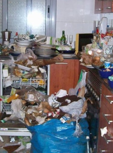 Limpieza por Síndrome de Diógenes en Almorox.