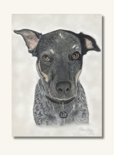 Realistic black dog portrait showcasing detailed fur texture and lifelike expression.