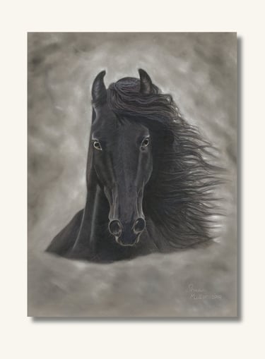 Elegant black horse portrait artwork created in soft pastel by Australian artist Sharan.