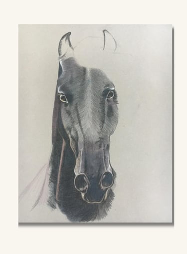Fine art horse portrait created in soft pastel with realistic detail and soft shading.
