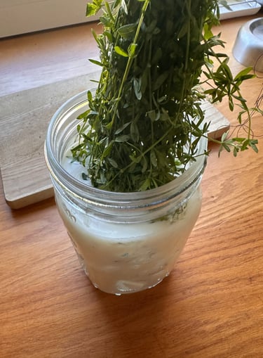 Labkraut für Frischkäse Herstellung